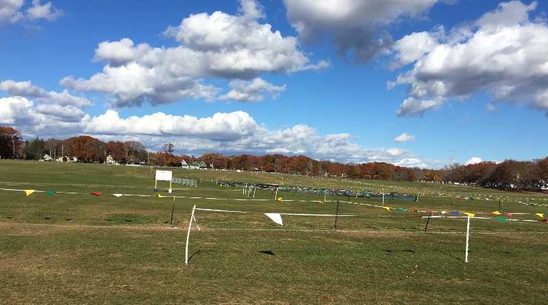 Wrentham Developmental Center Closes For 2020